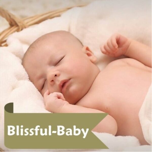 Комплект Blissful-Baby