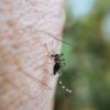 Спрей против насекоми Bug-Off