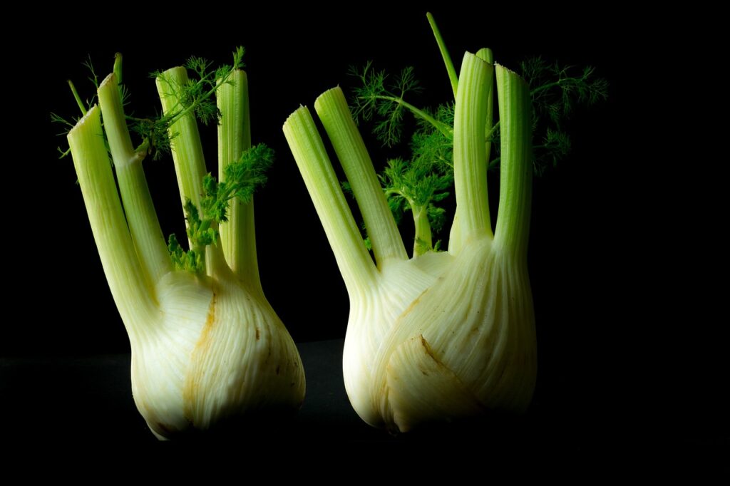 vegetables, fennel, forget-2924244.jpg